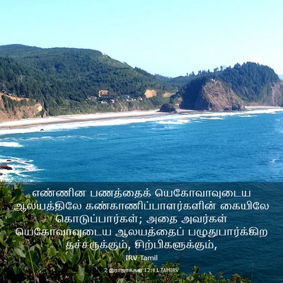Picture 03 - 2 இராஜாக்கள் 12:11 TAMIRV - எண்ணின பணத்தைக் - Bible Verse Picture