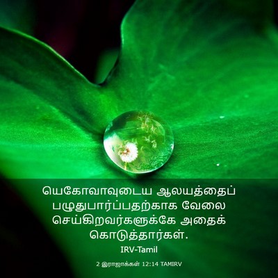 Picture 03 - 2 இராஜாக்கள் 12:14 TAMIRV - யெகோவாவுடைய - Bible Verse Picture
