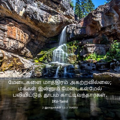Picture 03 - 2 இராஜாக்கள் 12:3 TAMIRV - மேடைகளை மாத்திரம் - Bible Verse Picture