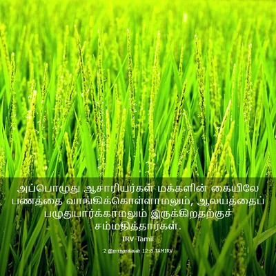 Picture 03 - 2 இராஜாக்கள் 12:8 TAMIRV - அப்பொழுது - Bible Verse Picture