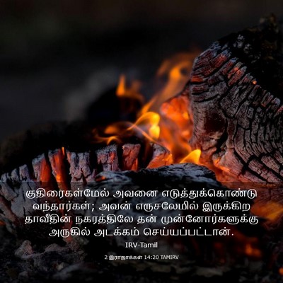 Picture 03 - 2 இராஜாக்கள் 14:20 TAMIRV - குதிரைகள்மேல் - Bible Verse Picture