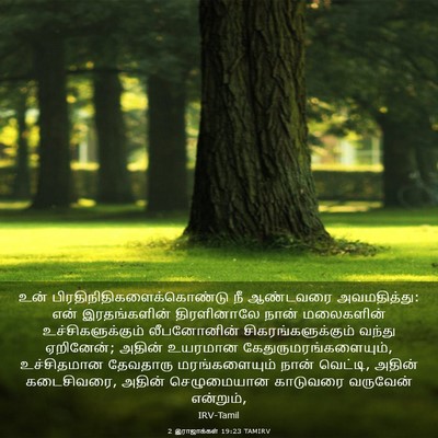 Picture 03 - 2 இராஜாக்கள் 19:23 TAMIRV - உன் - Bible Verse Picture