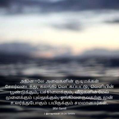 Picture 03 - 2 இராஜாக்கள் 19:26 TAMIRV - அதினாலே அவைகளின் - Bible Verse Picture