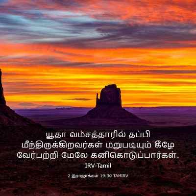 Picture 03 - 2 இராஜாக்கள் 19:30 TAMIRV - யூதா வம்சத்தாரில் - Bible Verse Picture