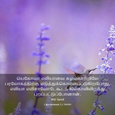 Picture 03 - 2 இராஜாக்கள் 2:1 TAMIRV - யெகோவா எலியாவை - Bible Verse Picture