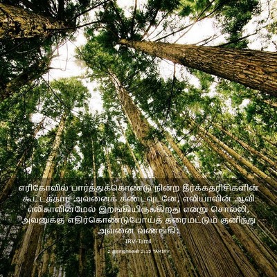 Picture 03 - 2 இராஜாக்கள் 2:15 TAMIRV - எரிகோவில் - Bible Verse Picture