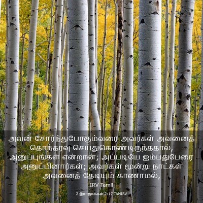Picture 03 - 2 இராஜாக்கள் 2:17 TAMIRV - அவன் - Bible Verse Picture