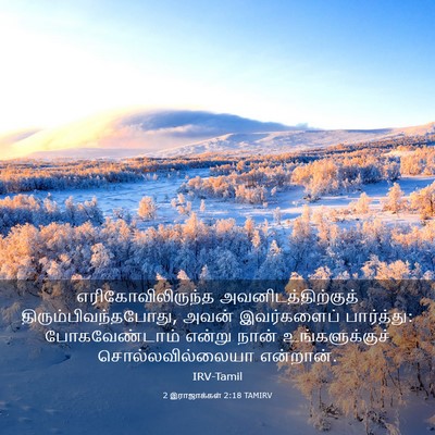 Picture 03 - 2 இராஜாக்கள் 2:18 TAMIRV - எரிகோவிலிருந்த - Bible Verse Picture