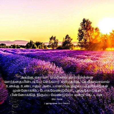 Picture 03 - 2 இராஜாக்கள் 20:9 TAMIRV - அதற்கு ஏசாயா: - Bible Verse Picture