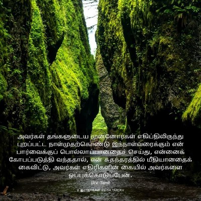 Picture 03 - 2 இராஜாக்கள் 21:14 TAMIRV - அவர்கள் தங்களுடைய - Bible Verse Picture