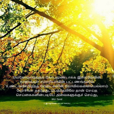 Picture 03 - 2 இராஜாக்கள் 23:19 TAMIRV - யெகோவாவுக்குக் - Bible Verse Picture