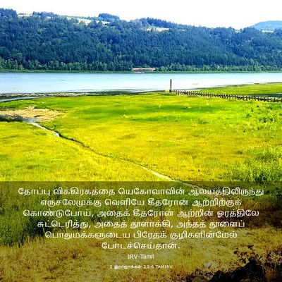 Picture 03 - 2 இராஜாக்கள் 23:6 TAMIRV - தோப்பு - Bible Verse Picture