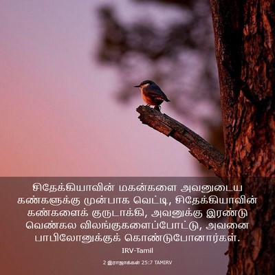 Picture 03 - 2 இராஜாக்கள் 25:7 TAMIRV - சிதேக்கியாவின் - Bible Verse Picture