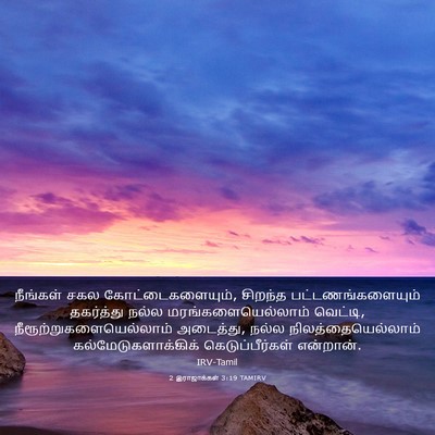 Picture 03 - 2 இராஜாக்கள் 3:19 TAMIRV - நீங்கள் சகல - Bible Verse Picture