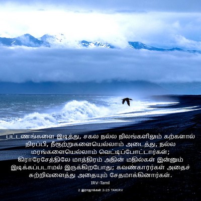Picture 03 - 2 இராஜாக்கள் 3:25 TAMIRV - பட்டணங்களை - Bible Verse Picture