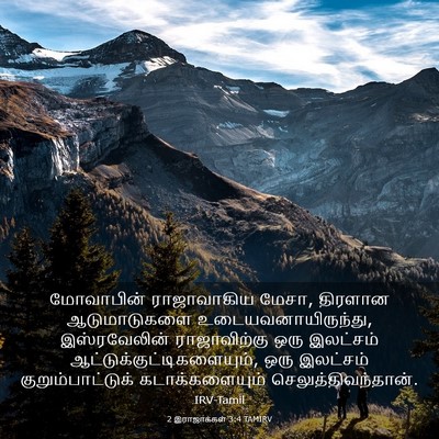 Picture 03 - 2 இராஜாக்கள் 3:4 TAMIRV - மோவாபின் - Bible Verse Picture