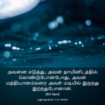Picture 03 - 2 இராஜாக்கள் 4:20 TAMIRV - அவனை எடுத்து, அவன் - Bible Verse Picture