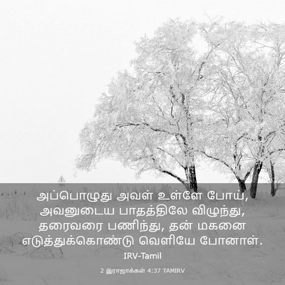 Picture 03 - 2 இராஜாக்கள் 4:37 TAMIRV - அப்பொழுது அவள் - Bible Verse Picture
