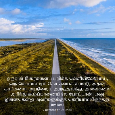 Picture 03 - 2 இராஜாக்கள் 4:39 TAMIRV - ஒருவன் கீரைகளைப் - Bible Verse Picture