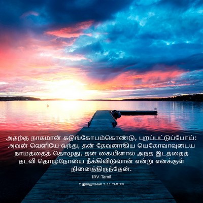 Picture 03 - 2 இராஜாக்கள் 5:11 TAMIRV - அதற்கு நாகமான் - Bible Verse Picture