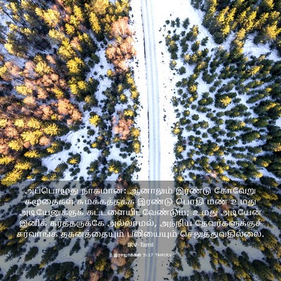 Picture 03 - 2 இராஜாக்கள் 5:17 TAMIRV - அப்பொழுது - Bible Verse Picture