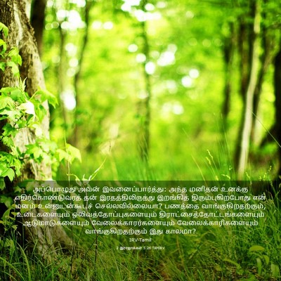 Picture 03 - 2 இராஜாக்கள் 5:26 TAMIRV - அப்பொழுது அவன் - Bible Verse Picture