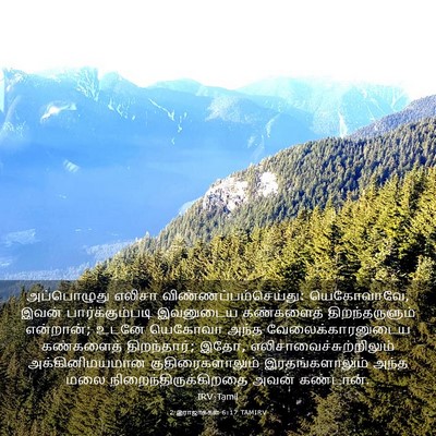 Picture 03 - 2 இராஜாக்கள் 6:17 TAMIRV - அப்பொழுது எலிசா - Bible Verse Picture