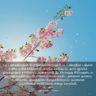 Picture 03 - 2 இராஜாக்கள் 7:4 TAMIRV - பட்டணத்திற்குள் - Bible Verse Picture