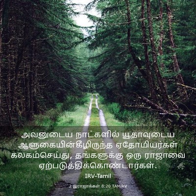 Picture 03 - 2 இராஜாக்கள் 8:20 TAMIRV - அவனுடைய நாட்களில் - Bible Verse Picture