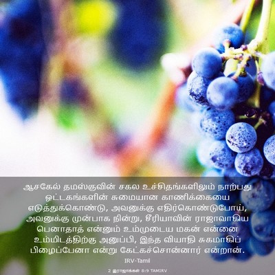 Picture 03 - 2 இராஜாக்கள் 8:9 TAMIRV - ஆசகேல் தமஸ்குவின் - Bible Verse Picture