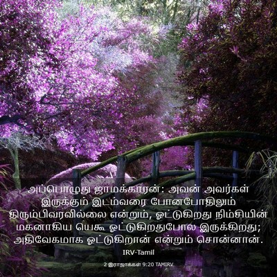 Picture 03 - 2 இராஜாக்கள் 9:20 TAMIRV - அப்பொழுது - Bible Verse Picture
