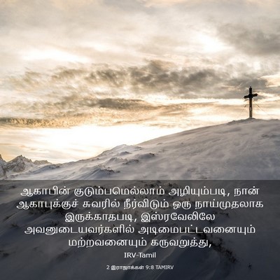 Picture 03 - 2 இராஜாக்கள் 9:8 TAMIRV - ஆகாபின் - Bible Verse Picture