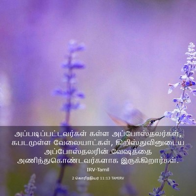 Picture 03 - 2 கொரிந்தியர் 11:13 TAMIRV -  - Bible Verse Picture