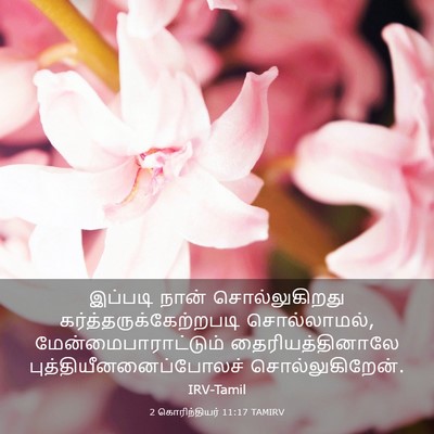 Picture 03 - 2 கொரிந்தியர் 11:17 TAMIRV - இப்படி நான் - Bible Verse Picture