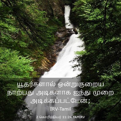 Picture 03 - 2 கொரிந்தியர் 11:24 TAMIRV - யூதர்களால் - Bible Verse Picture