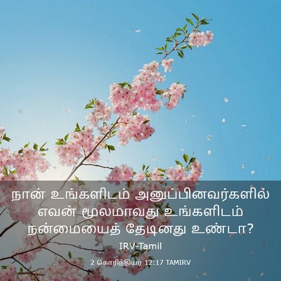 Picture 03 - 2 கொரிந்தியர் 12:17 TAMIRV - நான் உங்களிடம் - Bible Verse Picture