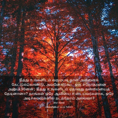 Picture 03 - 2 கொரிந்தியர் 12:18 TAMIRV - தீத்து உங்களிடம் - Bible Verse Picture