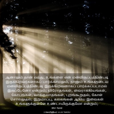 Picture 03 - 2 கொரிந்தியர் 12:20 TAMIRV - ஆனாலும் நான் - Bible Verse Picture