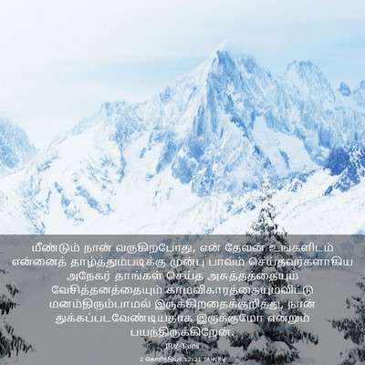 Picture 03 - 2 கொரிந்தியர் 12:21 TAMIRV - மீண்டும் நான் - Bible Verse Picture