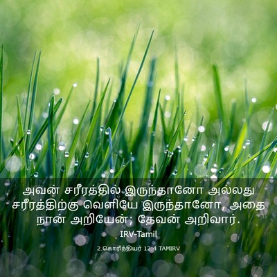 Picture 03 - 2 கொரிந்தியர் 12:4 TAMIRV - அவன் சரீரத்தில் - Bible Verse Picture