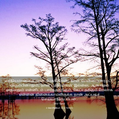 Picture 03 - 2 கொரிந்தியர் 12:6 TAMIRV - சத்தியமானதை நான் - Bible Verse Picture