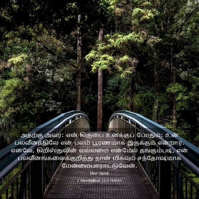 Picture 03 - 2 கொரிந்தியர் 12:9 TAMIRV - அதற்கு அவர்: என் - Bible Verse Picture