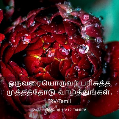Picture 03 - 2 கொரிந்தியர் 13:12 TAMIRV - ஒருவரையொருவர் - Bible Verse Picture