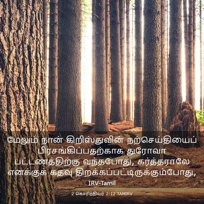 Picture 03 - 2 கொரிந்தியர் 2:12 TAMIRV - மேலும் நான் - Bible Verse Picture