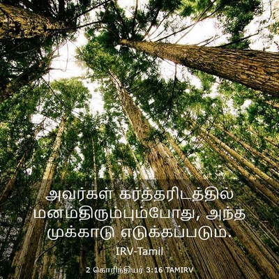 Picture 03 - 2 கொரிந்தியர் 3:16 TAMIRV - அவர்கள் - Bible Verse Picture