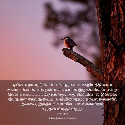 Picture 03 - 2 கொரிந்தியர் 3:3 TAMIRV - ஏனென்றால், - Bible Verse Picture