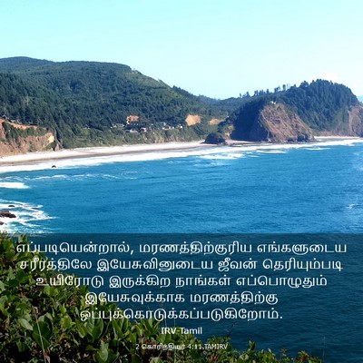 Picture 03 - 2 கொரிந்தியர் 4:11 TAMIRV - எப்படியென்றால், - Bible Verse Picture