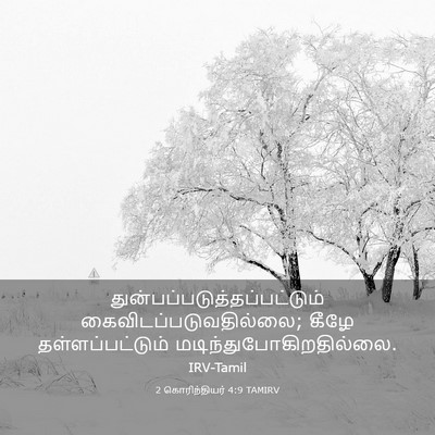 Picture 03 - 2 கொரிந்தியர் 4:9 TAMIRV -  - Bible Verse Picture