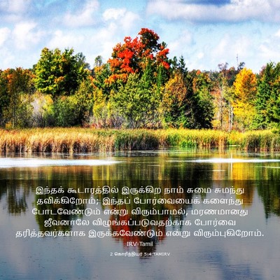 Picture 03 - 2 கொரிந்தியர் 5:4 TAMIRV - இந்தக் - Bible Verse Picture