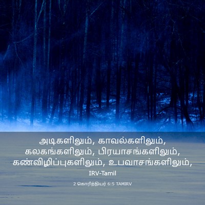 Picture 03 - 2 கொரிந்தியர் 6:5 TAMIRV - அடிகளிலும், - Bible Verse Picture